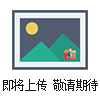 DVM-1000美國(guó)PHASE II測(cè)振儀